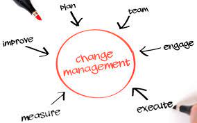 Organizational change and development