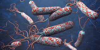 Cholera Outbreak