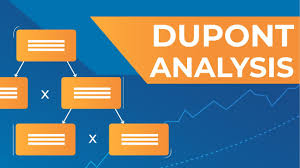 DuPont Ratio Analysis