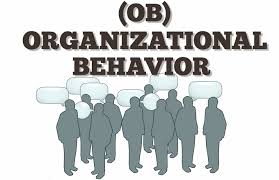 Project Information, Organisation and behaviour 