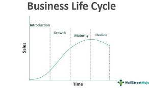Stages of the Business Life Cycle
