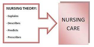 nursing theory